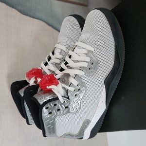 Air Jordan Spike Forty PE